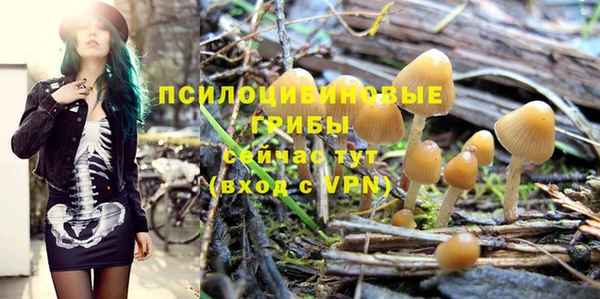 мескалин Гусиноозёрск