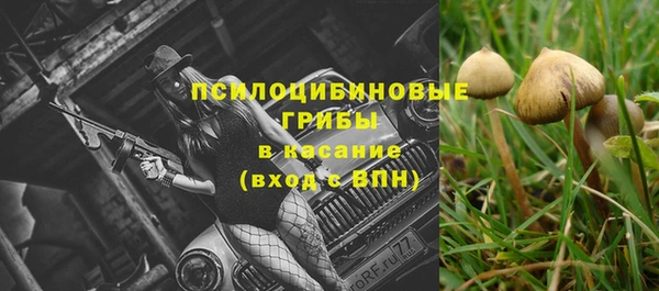 мескалин Гусиноозёрск